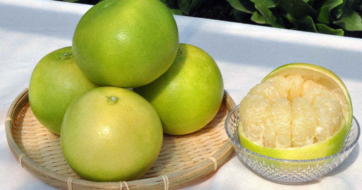 透き通る果肉「水晶文旦」 高知の秋の味覚、収穫本格化 ／高知 | 毎日新聞