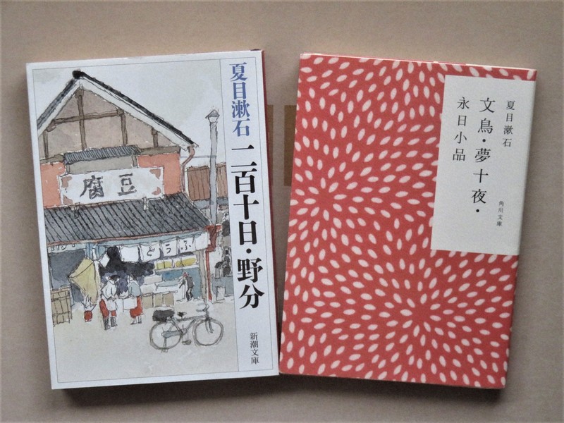 若者よ理想を抱け 文豪・漱石の思いが詰まった名作「野分」を読む
