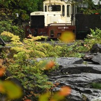 eye：よみがえれ森林鉄道 [写真特集1/40] | 毎日新聞