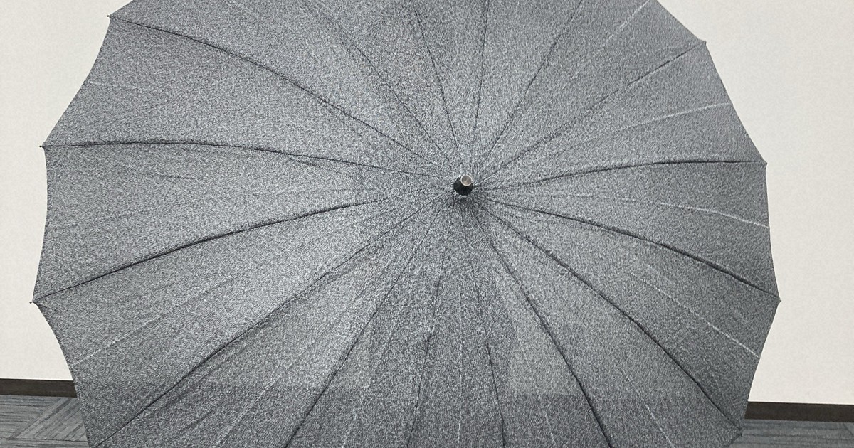 JR West to introduce 'bladeproof umbrellas' to protect Japan train