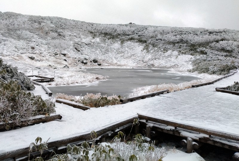 初雪 初雪・HB－310B BASYS ｜ かき氷市場