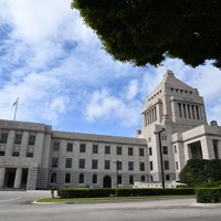国会議事堂。左が衆議院＝平田明浩撮影