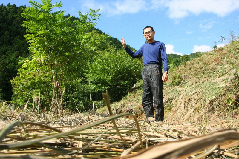高く売れない木材、ヘリ運賃値上げが打撃 奈良の林業の行く末は | 毎日新聞