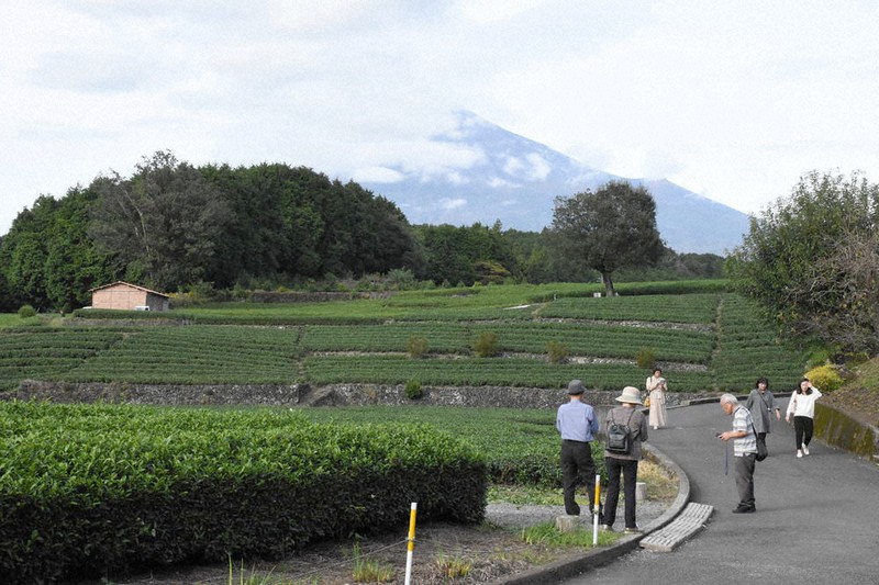 富士山写真 「雄揮の大地」 富士山写真 「雄揮の大地」 富士山写真
