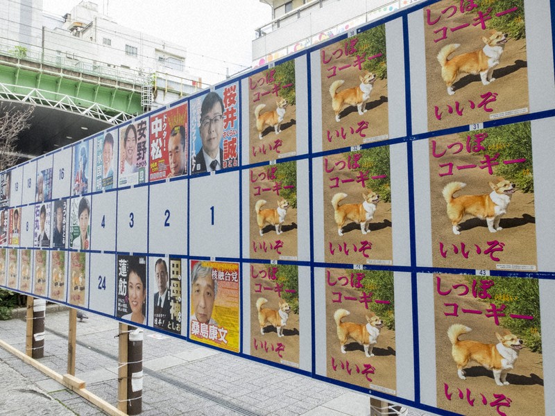 衆院選2024：選挙のキホン 掲示板ジャック 対策は 公選法 内容、形