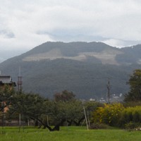 造成工事が進み山肌があらわになる先達山のメガソーラー建設地＝福島市で11日