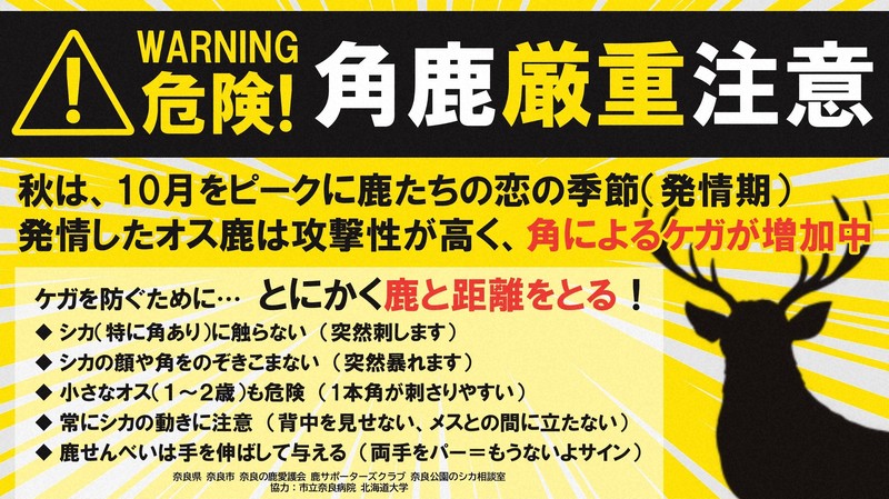 奈良公園で鹿の角が刺さりけが、7倍に急増 発情期で攻撃性高く | 毎日新聞