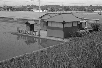 田園の中の神社に石像が並ぶ＝茨城県南部で2024年5月25日、中村琢磨撮影