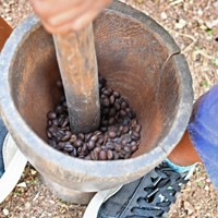 来園者に見せるコーヒー豆の伝統的な粉砕方法。焙煎（ばいせん）したばかりの豆を木鉢に入れ、足で押さえながら棒ですりつぶす＝ルワンダ・フイエで2024年7月26日、北山夏帆撮影