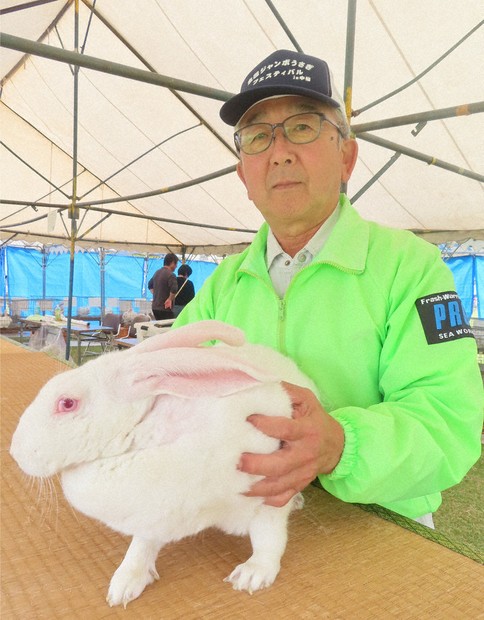 秋田発・ジャンボウサギはいま：最高値「5万円」で落札 毛並みや育ち