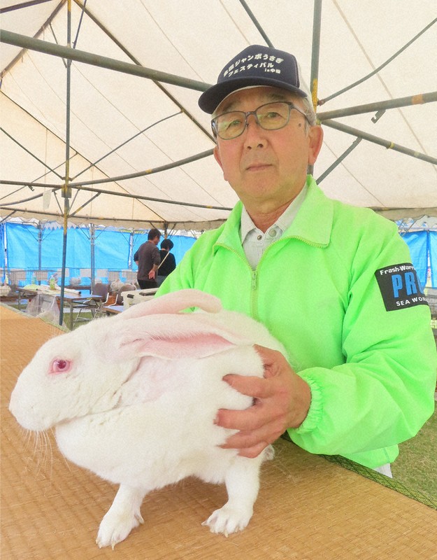 秋田発・ジャンボウサギはいま：最高値「5万円」で落札 毛並みや育ち