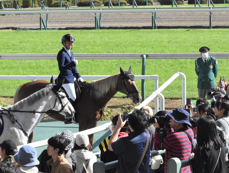 第拾五回競馬番組 福島県産馬組合聯合会 競馬場 明治44年 開成山 広告