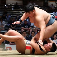 【日体大－拓大】大将戦で拓大の村山尊（下）を降す日体大の杉本弘樹＝東京・両国国技館で2024年11月3日、猪飼健史撮影