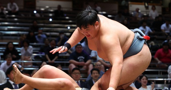 【日体大－拓大】大将戦で拓大の村山尊（下）を降す日体大の杉本弘樹＝東京・両国国技館で2024年11月3日、猪飼健史撮影