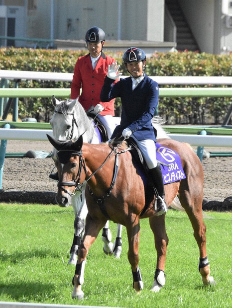 パリ五輪：「初老ジャパン」福島競馬場に 誘導馬騎乗の戸本選手に