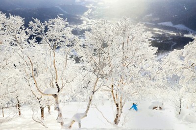 世界を魅了するパウダースノー「Japow」＝北海道占冠村で2019年2月12日、貝塚太一撮影