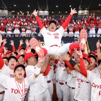 ★2024/11/23 年席ご契約者様限定 選手とハイタッチ会券付き・ファン感★ 2024年大会決勝 トヨタ自動車vs Honda 社会人野球日本選手権 [写真特集