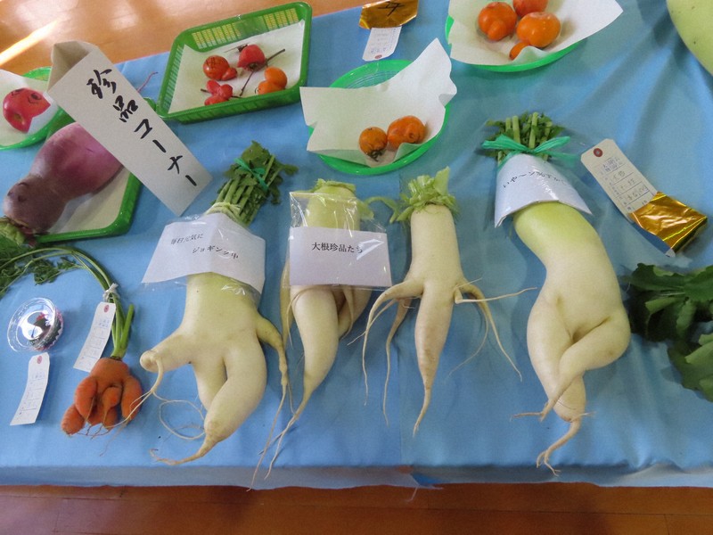 足が生えた大根、ネズミのような芋の子…秋田で野菜の珍しさ競う大会