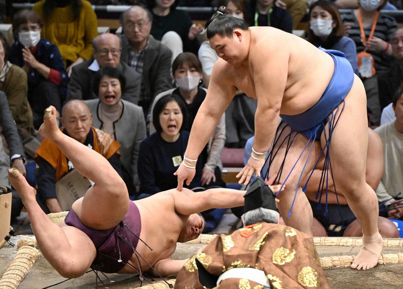 大相撲九州場所令和6年11月22日(金)10時半開場入場券2枚 【公式