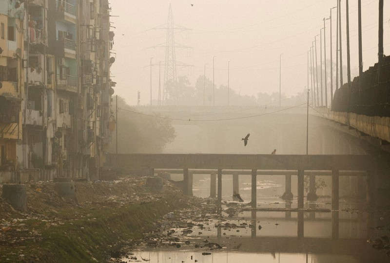 インド、大気汚染悪化でタージマハル「消える」 野焼きなどで [写真