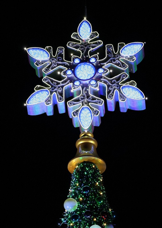 今年で見納め USJ巨大ツリー [写真特集1/6] | 毎日新聞