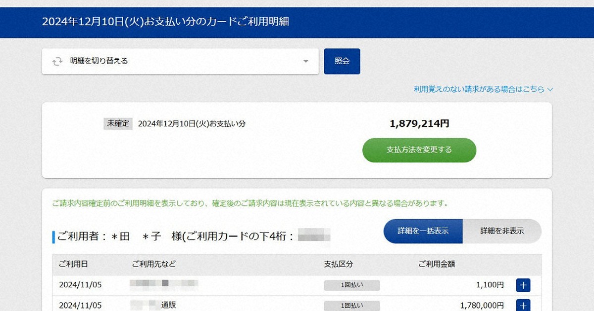 知らぬ間にトレカ購入178万円 クレカを不正利用された記者の教訓
