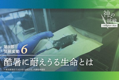 酷暑に耐えうる生命とは