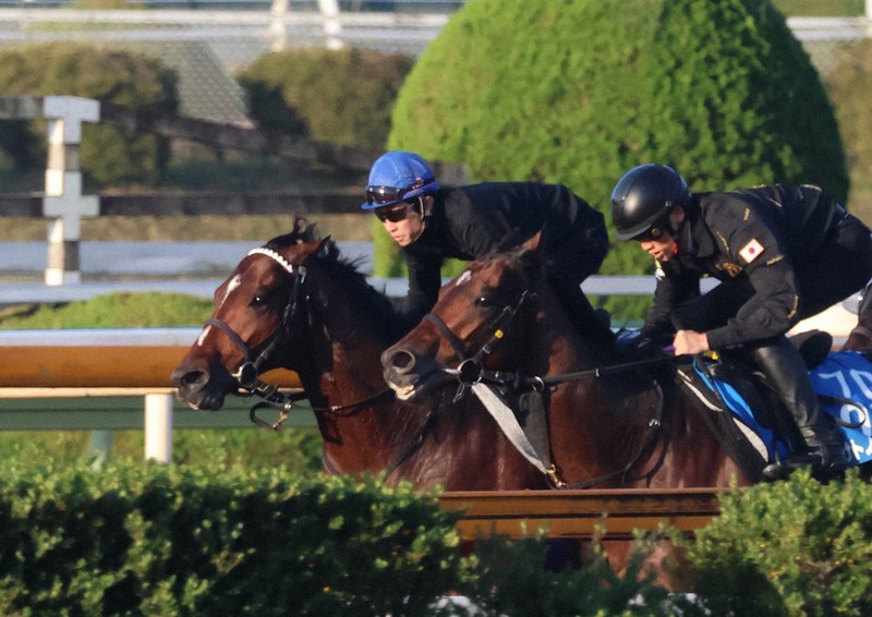相棒は双眼鏡：外国馬に負けられぬ「日本の馬場」 ジャパンカップ