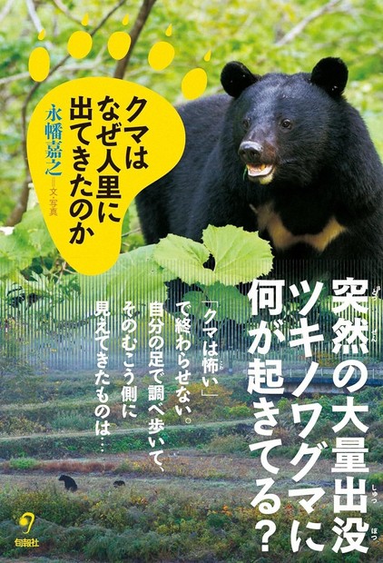 今週の本棚：『クマはなぜ人里に出てきたのか』＝永幡嘉之・著 | 毎日新聞