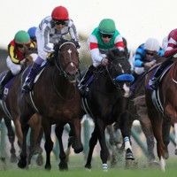 ［競馬］ドウデュース（2024年ジャパンカップ）ミニゼッケン／武豊／東京競馬場 ジャパンカップ】武豊ドウデュースの末脚炸裂！G1・5勝目を