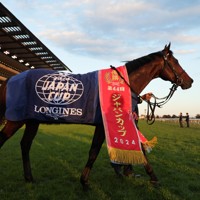 ［競馬］ドウデュース（2024年ジャパンカップ）ミニゼッケン／武豊／東京競馬場 Amazon.co.jp: ［競馬］ドウデュース（日本ダービー）ミニ