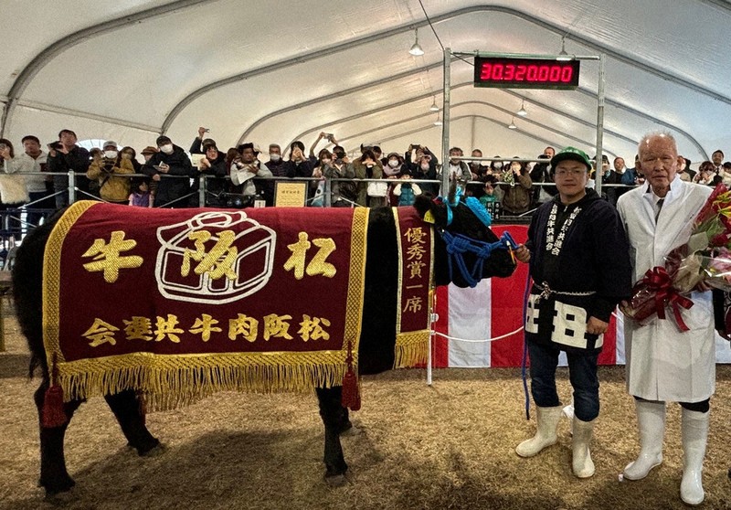 松阪牛女王は「ともみ7」 「非の打ち所なし」 津の精肉店、3032万円で