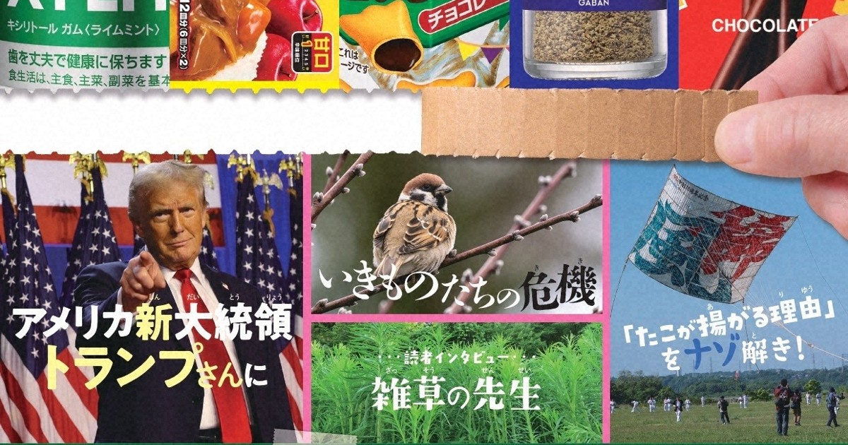 京の四季 毎日新聞社 ニュースがわかる目次：ニュースがわかる2025年1月号（12月13日発売