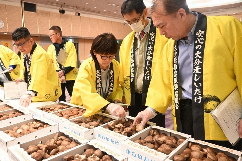 県産生シイタケ、今年の出来競う 県が品評会 ／大分 | 毎日新聞