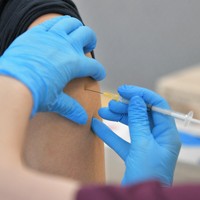 写真はイメージ