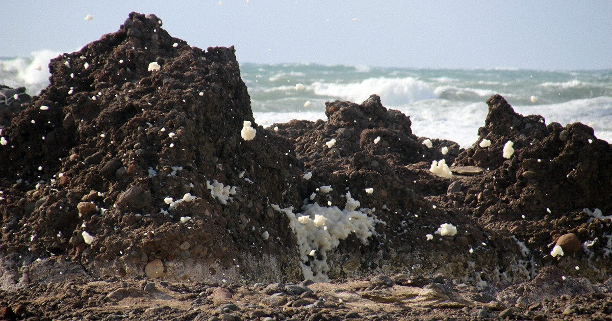 鎌田浩毅の役に立つ地学：震度とは？ 最大「7」は能登半島地震で7回目