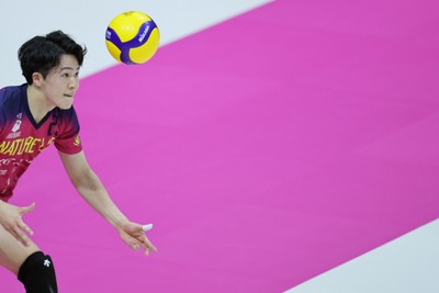 VC長野戦で、サーブを打つ東京GBの後藤陸翔。ユニホームや会場の装飾など、至るところが「ピンク」で染められている＝東京・アリーナ立川立飛で2024年11月17日、和田大典撮影