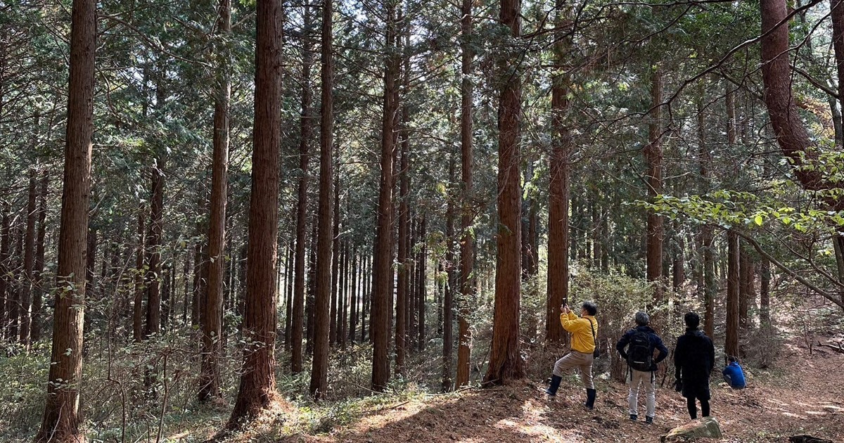 香川ヒノキを売り出せ 官民連携でPR、香りにリラックス効果も? | 毎日新聞