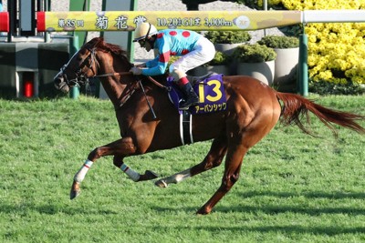 アーバンシック