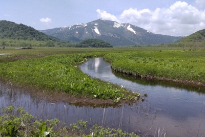 尾瀬国立公園＝2022年6月19日、永山悦子撮影