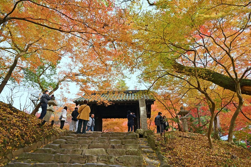 水彩画　ジクレー版画「秋月城跡 黒門の紅葉」（朝倉市） 秋月城跡「黒門」の紅葉 | 朝倉市