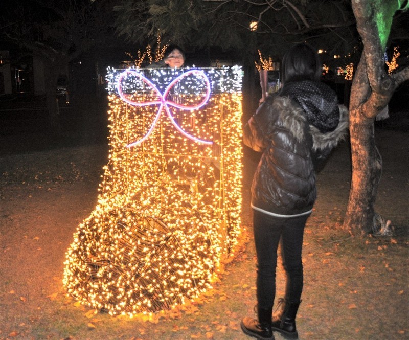 2024歳末点描：心ぽかぽか 光で魅了、冬の街 日向 ／宮崎 | 毎日新聞