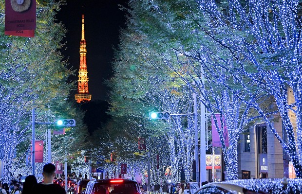 Easy Japanese news in translation: 800,000 LEDs light up avenue