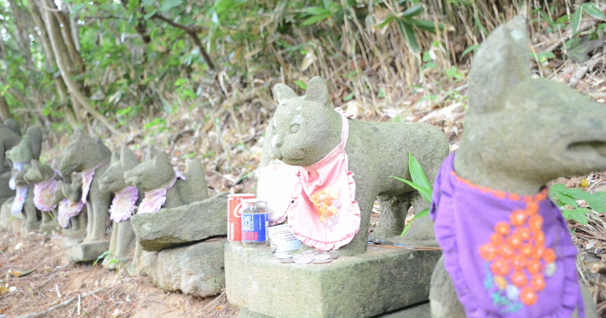 キツネじゃないの」SNSでバズった神社の猫像 何のため？ | 毎日新聞