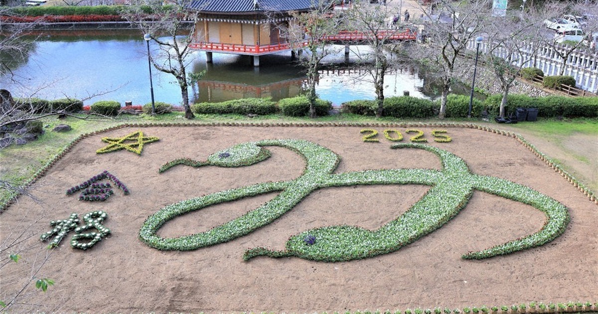 巳んなが笑顔に」 ジャンボ花絵登場 安倍文殊院 桜井 ／奈良 | 毎日新聞