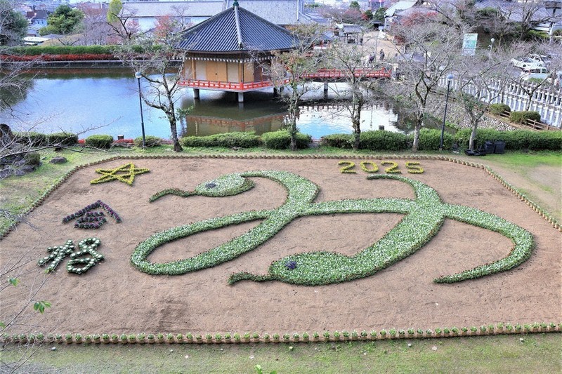 花y…ページ•*¨*•.¸♬︎ 藤の花 ・ 気づけば藤の花の見頃も後半へ。 今年も短期間ですが、藤を
