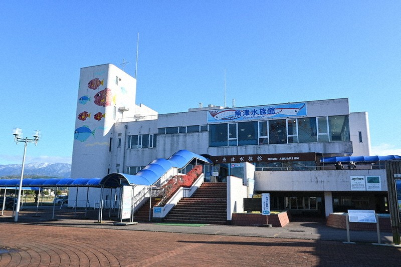 日本最古、老朽化で水漏れ ピンチ！ 富山・魚津水族館 ふるさと納税型