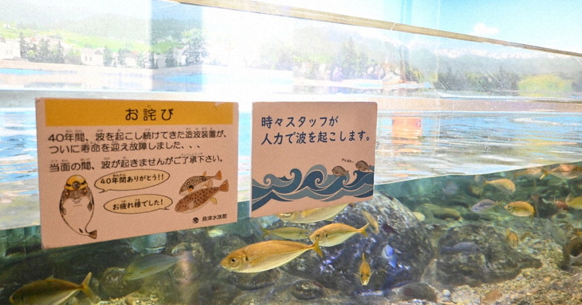 魚標本　　木更津沖　昭和53年 0c10.jpg?3