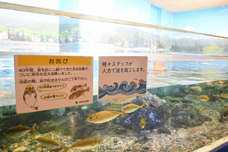 波は人力です」 日本最古の水族館老朽化、水漏れも CF支援募る | 毎日新聞