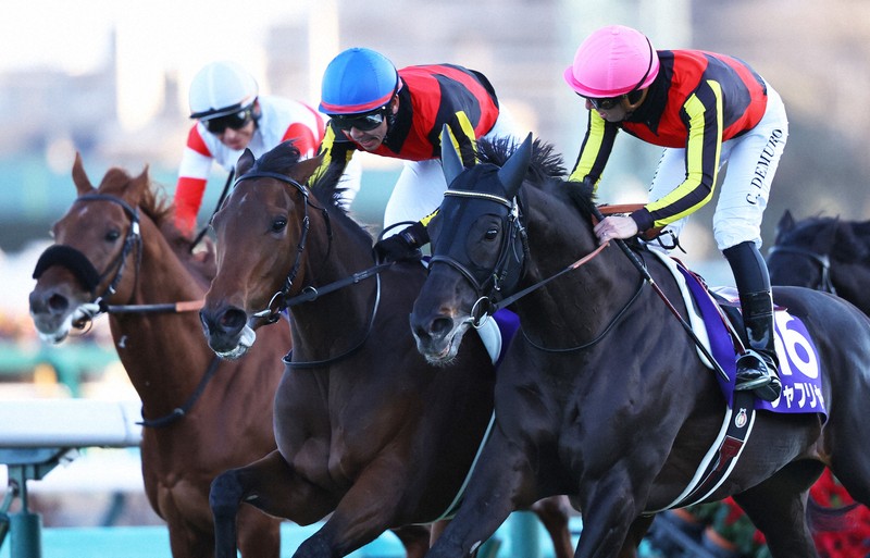 競馬　馬　フレデリック・レミントン画集 グレートホース馬ン列伝【公式】 (@Grhman1030) / X